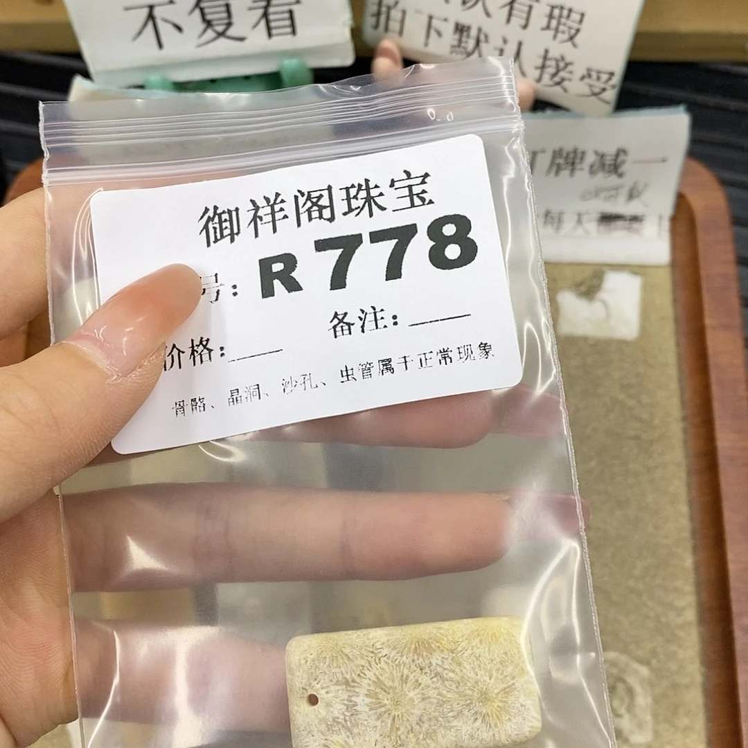 硅化珊瑚（珊瑚玉）未镶嵌颈饰南*