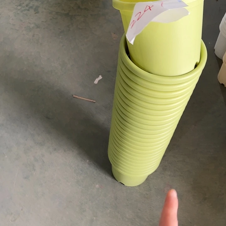 编号2247口21无托10个