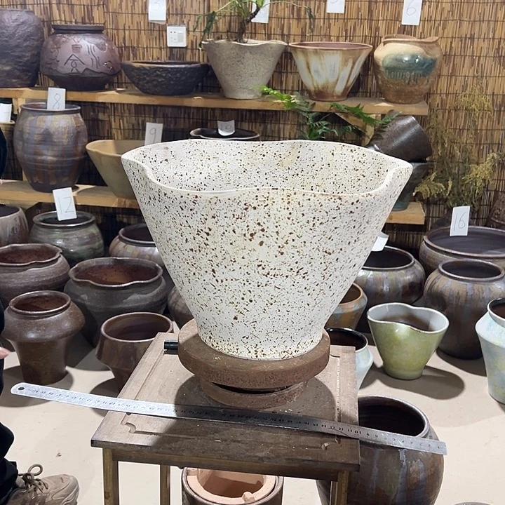 高23/35花盆改革和你呢