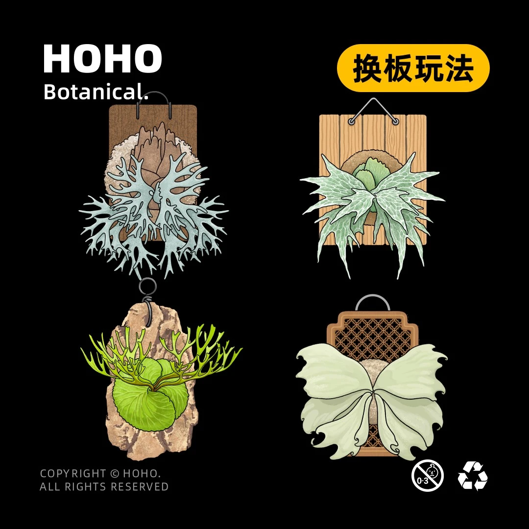 HOHO原创·植物热植磁吸冰箱贴DIY可换版鹿角蕨冰箱贴