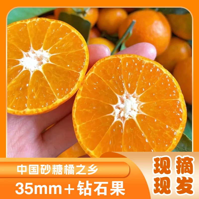 【顺丰次日达】广西沙糖桔 特级果/大果源头直发!皮薄甜蜜爆汁 现摘现发 无核化渣 售后无忧广西壮族自治区