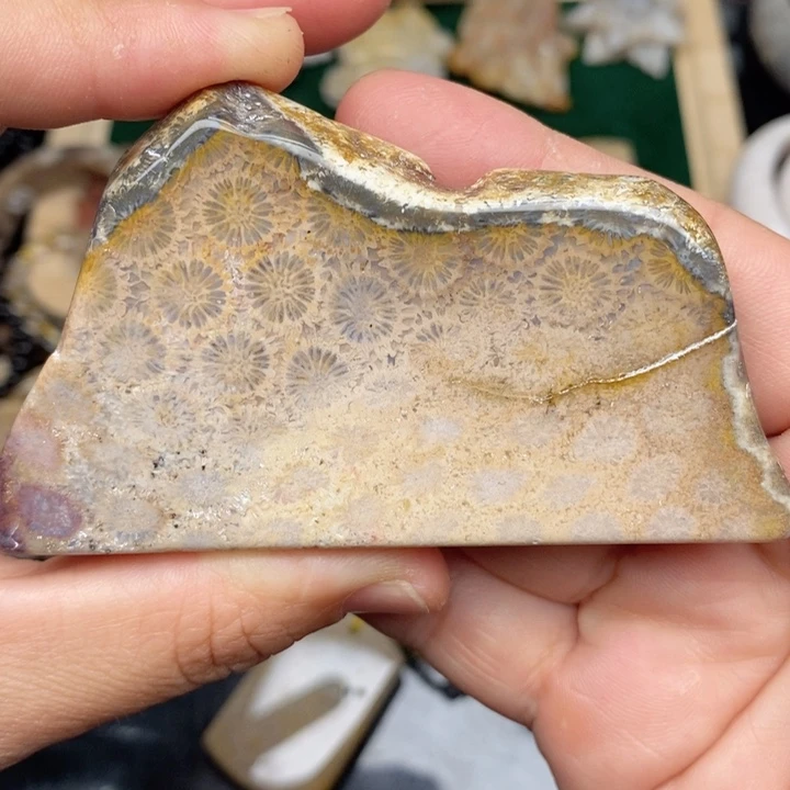 硅化珊瑚（珊瑚玉）手镯未镶嵌