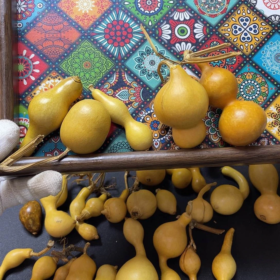 烟****文玩葫芦一物一拍