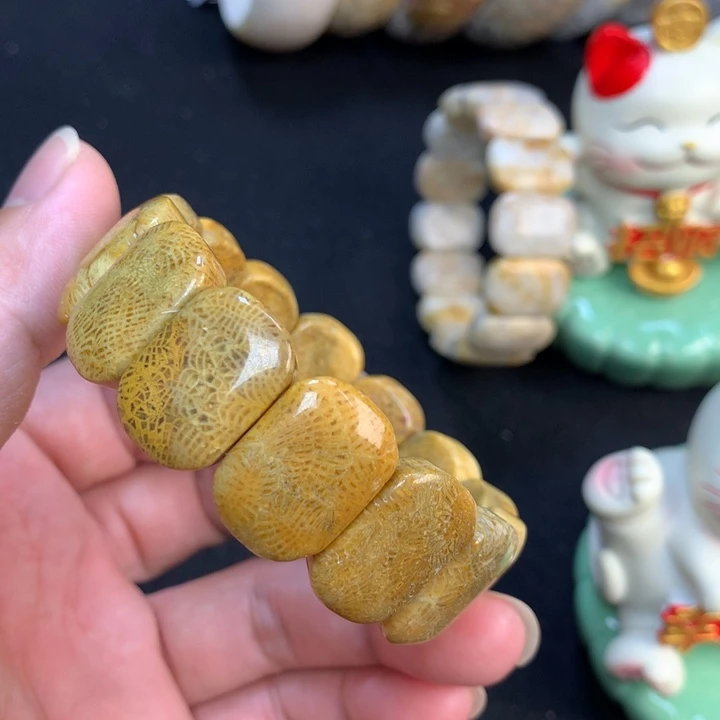 【闪购商品】硅化珊瑚（珊瑚玉）手链未镶嵌