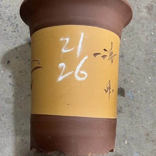 紫砂工艺厂……紫砂工艺厂……