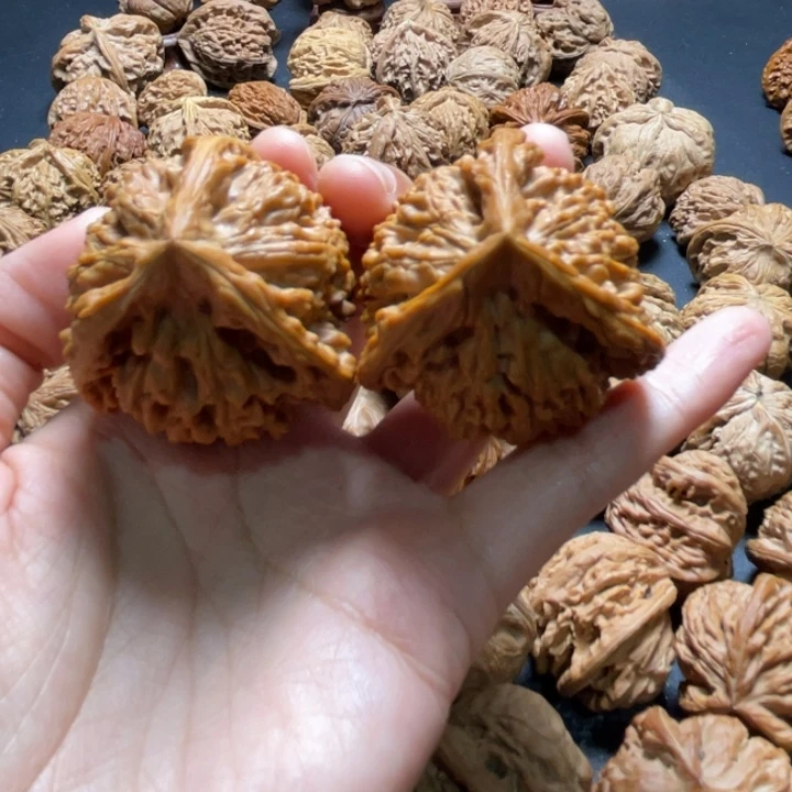 划*官帽三棱43尺寸核桃哈哈哈哈哈哈哈