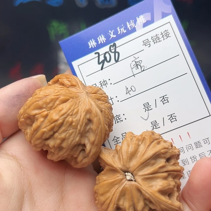 文玩核桃吊坠核桃树308