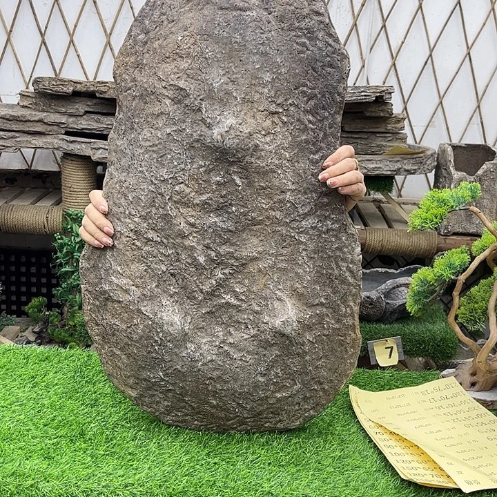 花盆异形花盆鱼缸w70