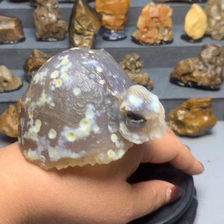 圆***子阿拉善天然戈壁石一方