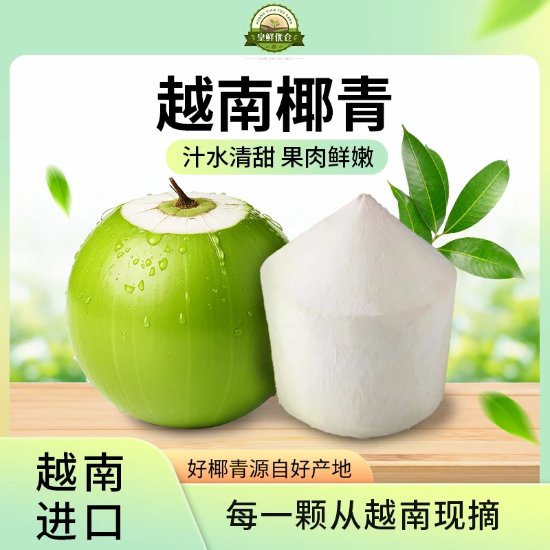 椰青东南亚椰青正宗椰青进口品质孕妈妈美食 越南椰青椰青现货