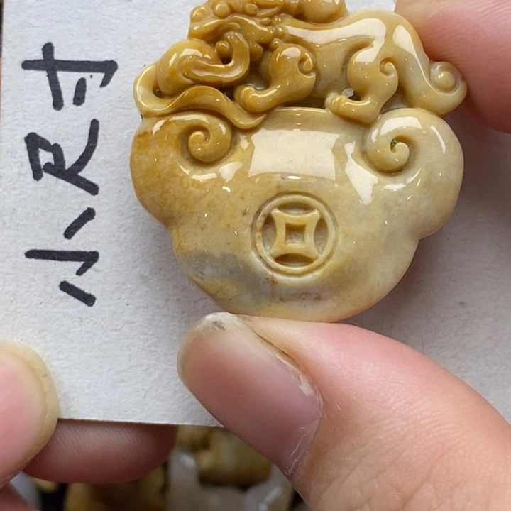 硅化珊瑚（珊瑚玉）未镶嵌颈饰