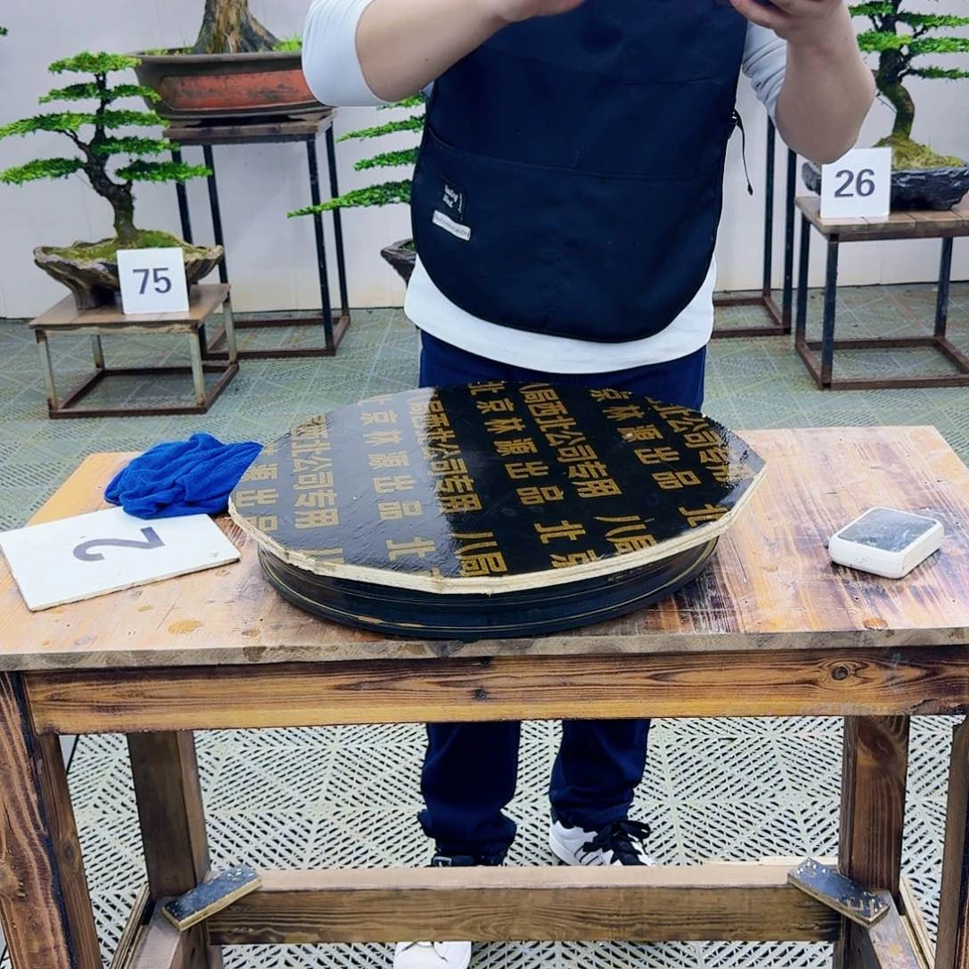 新疆运费下单付款
