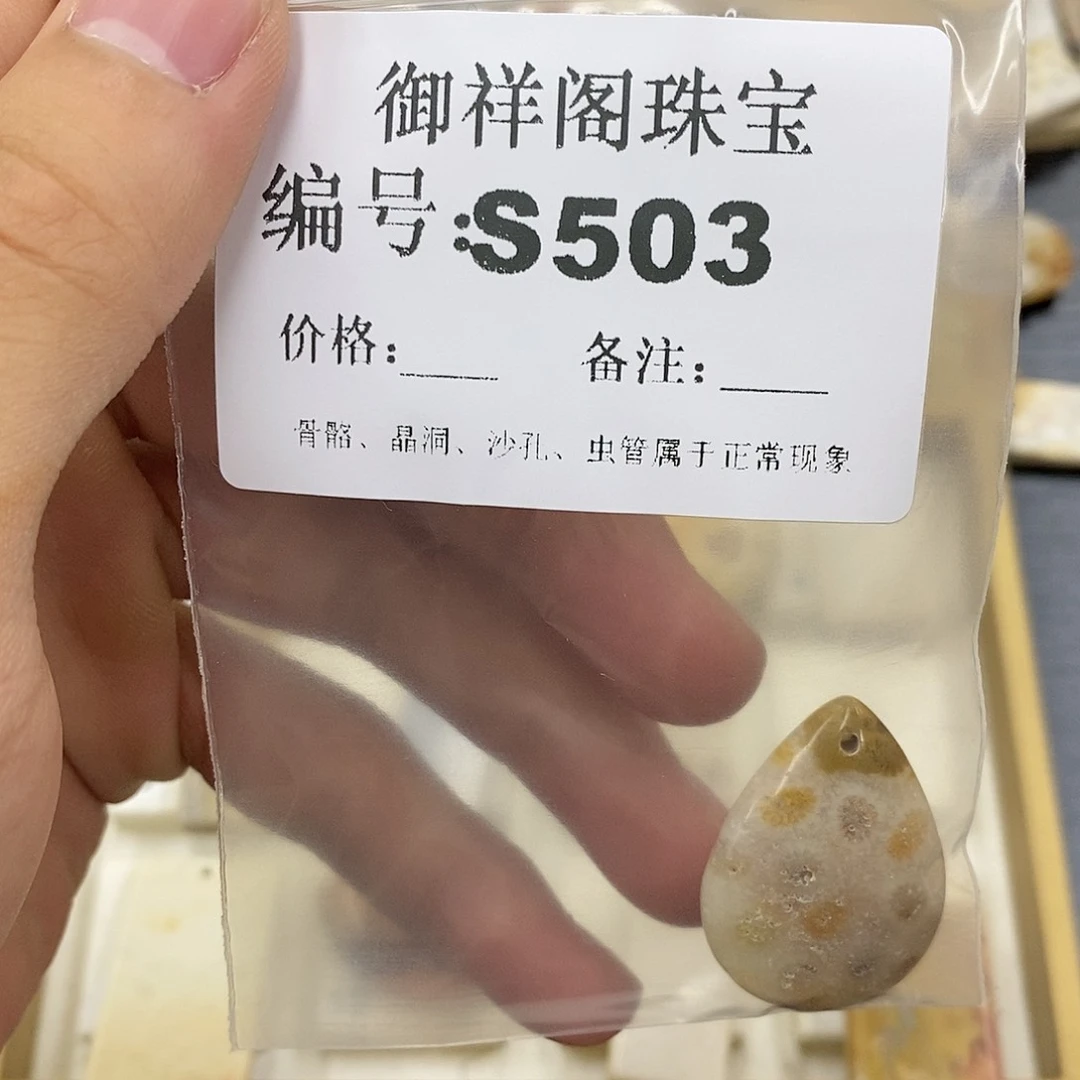 硅化珊瑚（珊瑚玉）未镶嵌颈饰醉*生