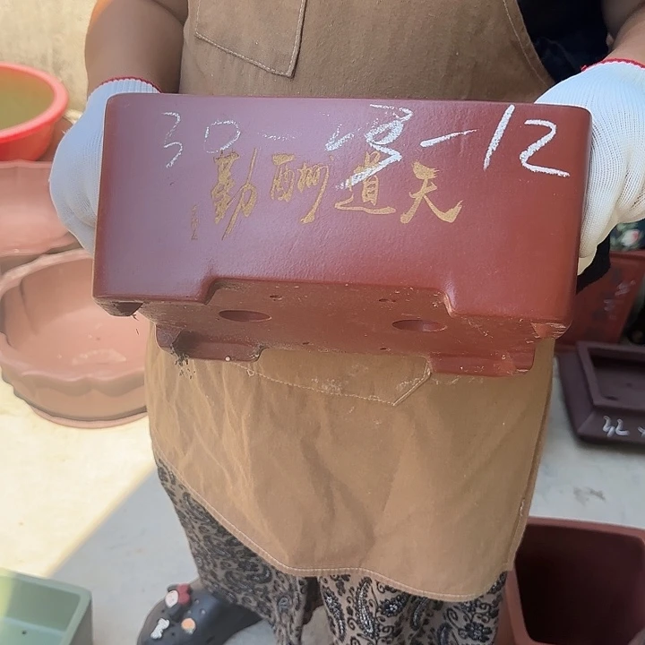 真的想看这篇了好