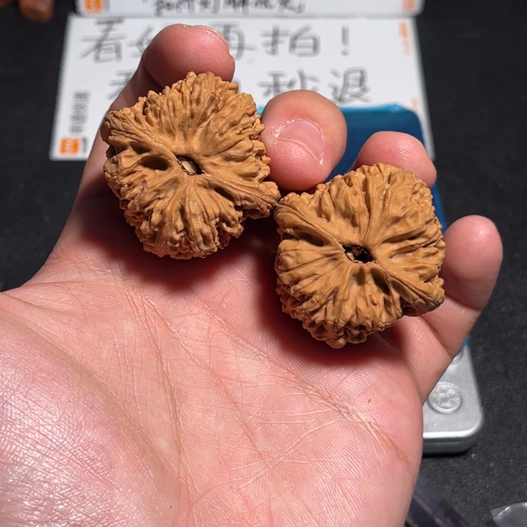 38全家福三角疆姜黄皮全品无修