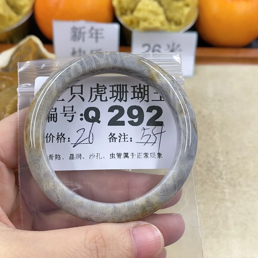 硅化珊瑚（珊瑚玉）1未镶嵌乌****子