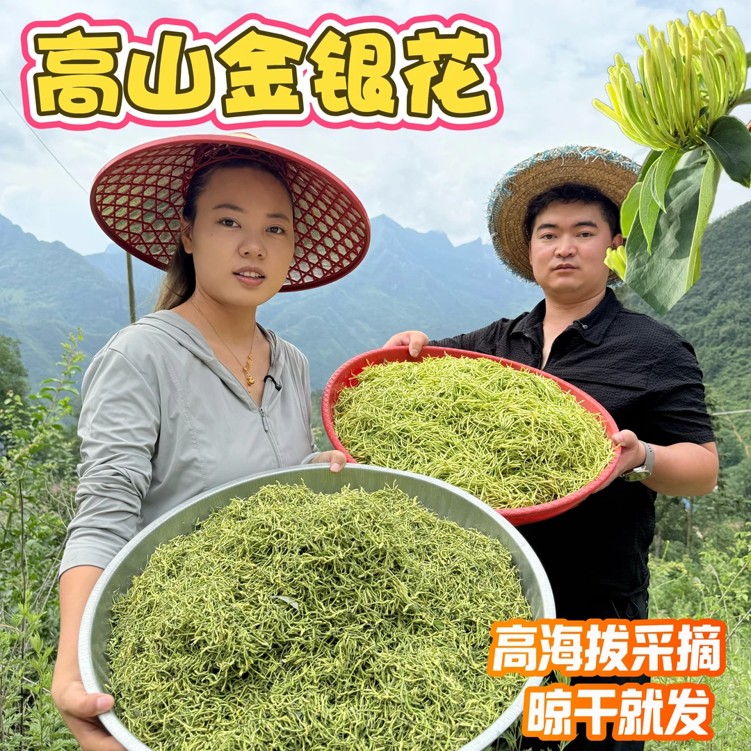 【干金银花】四川万源高山金银花 100g 泡水喝