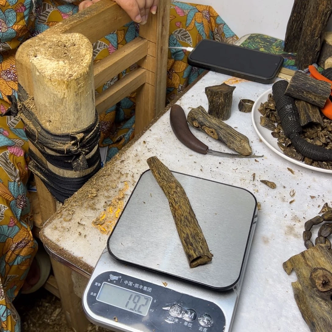 线香奇楠虫漏香19克