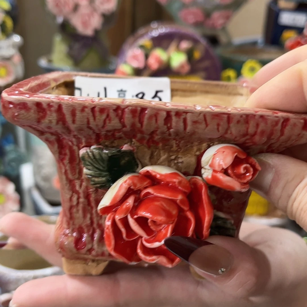 【闪购商品】红陶福利