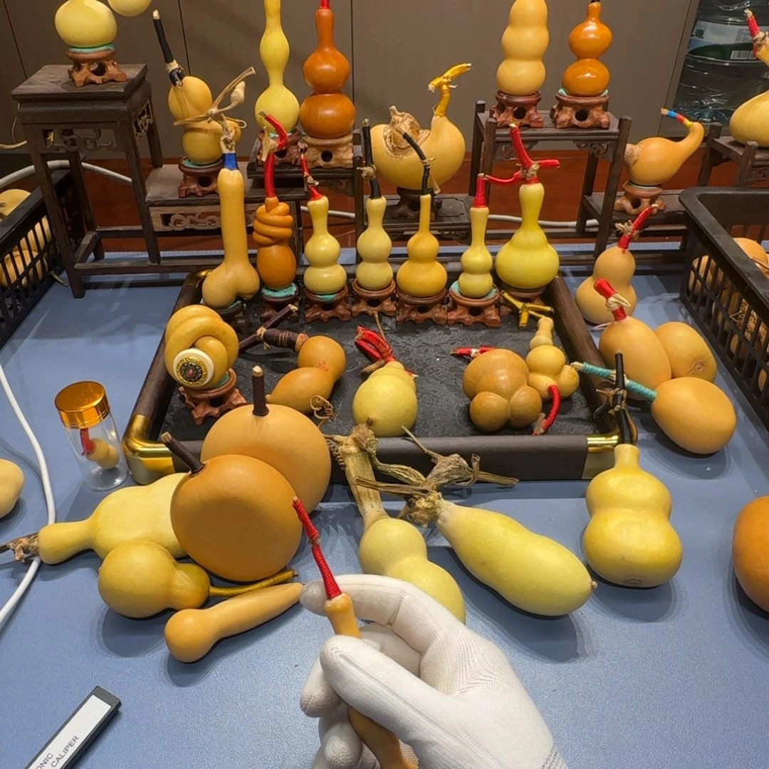 用***8葫芦给公公公公公公公公公公公