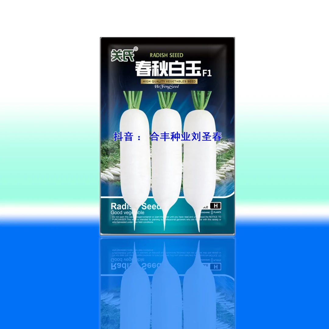 春秋白玉萝卜肉质根水嫩口感好无筋无渣种植简单春秋种植厂家正品