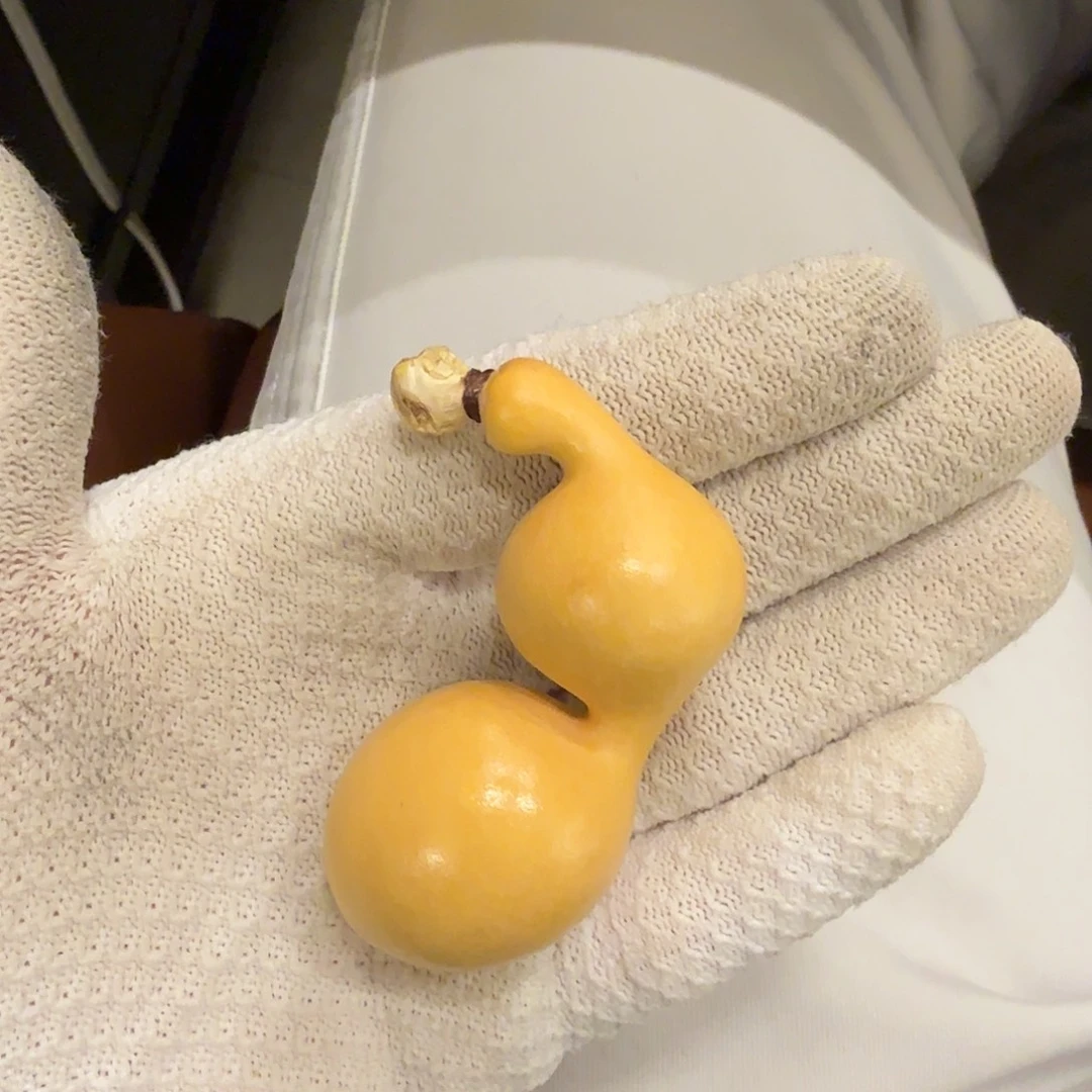 舍得出品精选葫芦