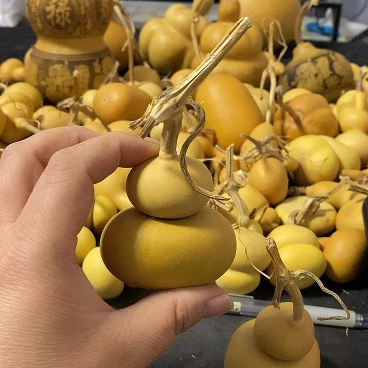 白**木葫芦的颜色很好看