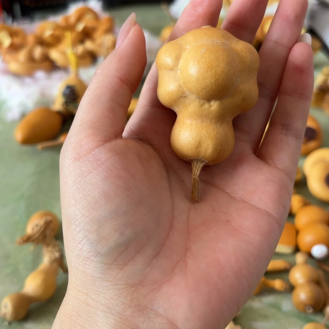 梦猫爪葫芦葫芦葫芦