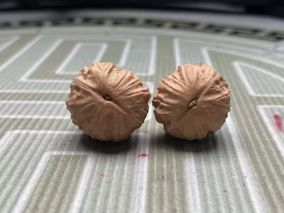 文玩小众铁锤妹妹白茬核桃可手盘玩