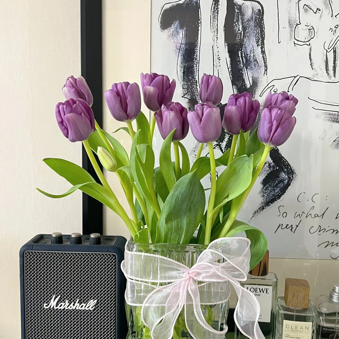 紫色郁金香   居家办公优选《东北基地发货》