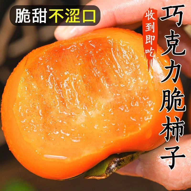 脆柿子巧克力柿子脆甜正宗新鲜应季水果鲜采硬黄阳丰柿子整箱包邮