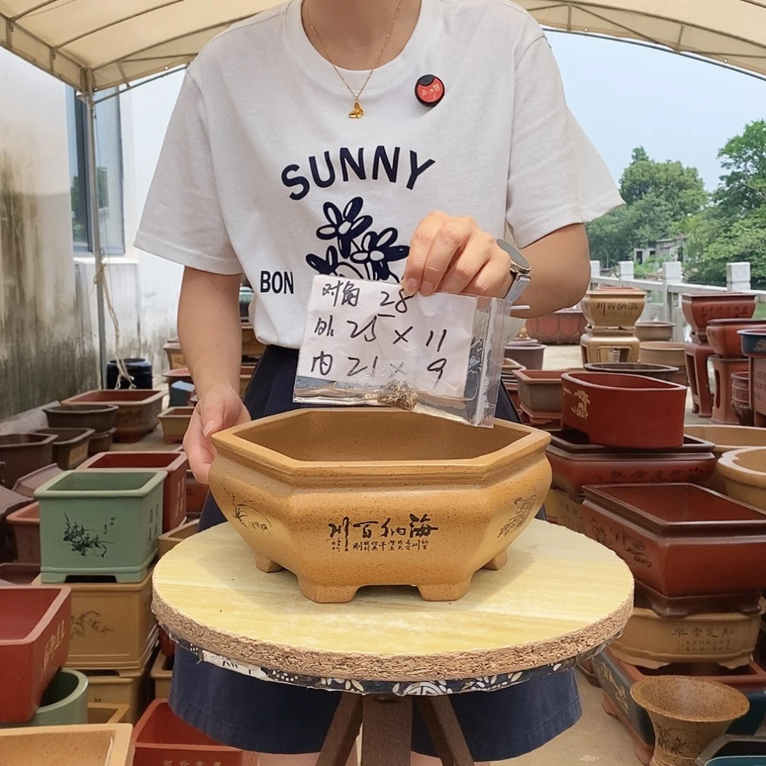 紫砂花盆紫砂花盆