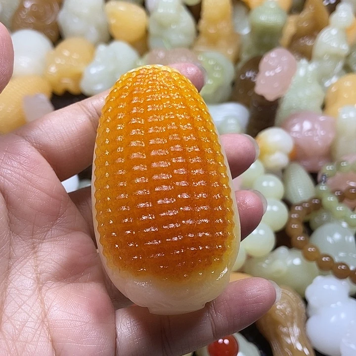 完全开放白黄玉米色7