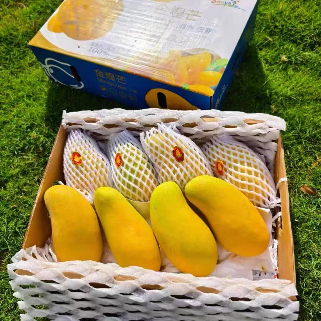海南空运金煌芒自然树熟新鲜应季4斤