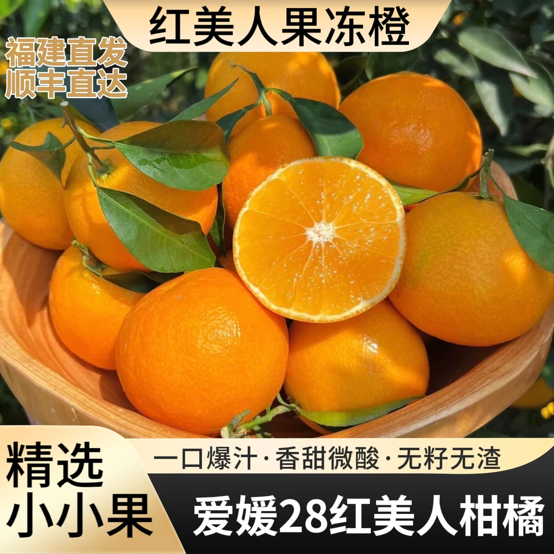 双11 红美人果冻橙爱媛28号柑橘水果爆汁香甜无籽无渣小果顺丰达