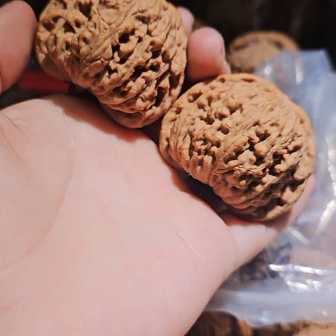 林***者文玩核桃吊坠47南疆