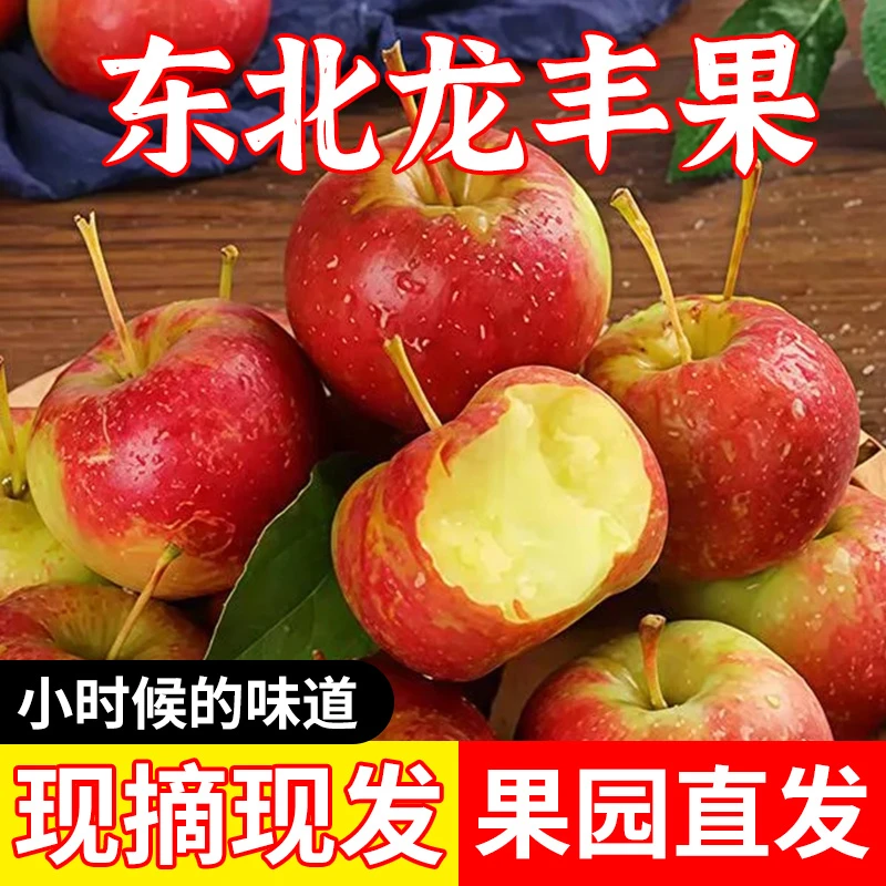 【到手5斤】东北龙丰果大秋果酸甜多汁 新鲜采产地直果园直发