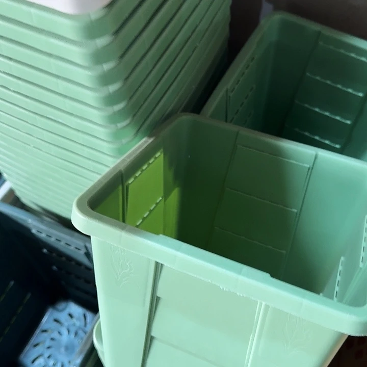 编号303果绿无托6个