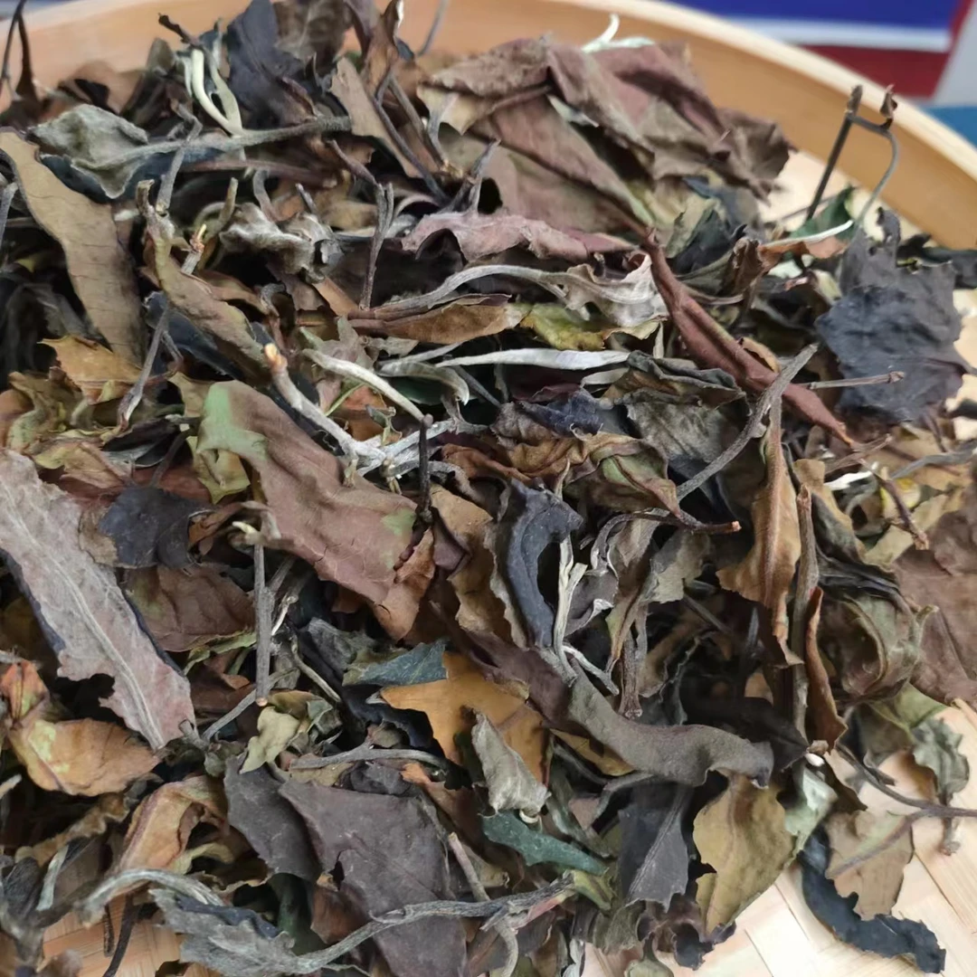 【磨烈白茶】2024年春白茶1月14日【1号】