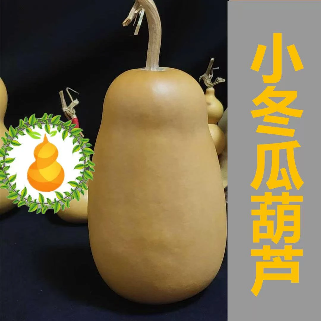 冬瓜葫芦精品纯天然手把件挂件适合烙画摆件墨刻图案手把玩文玩