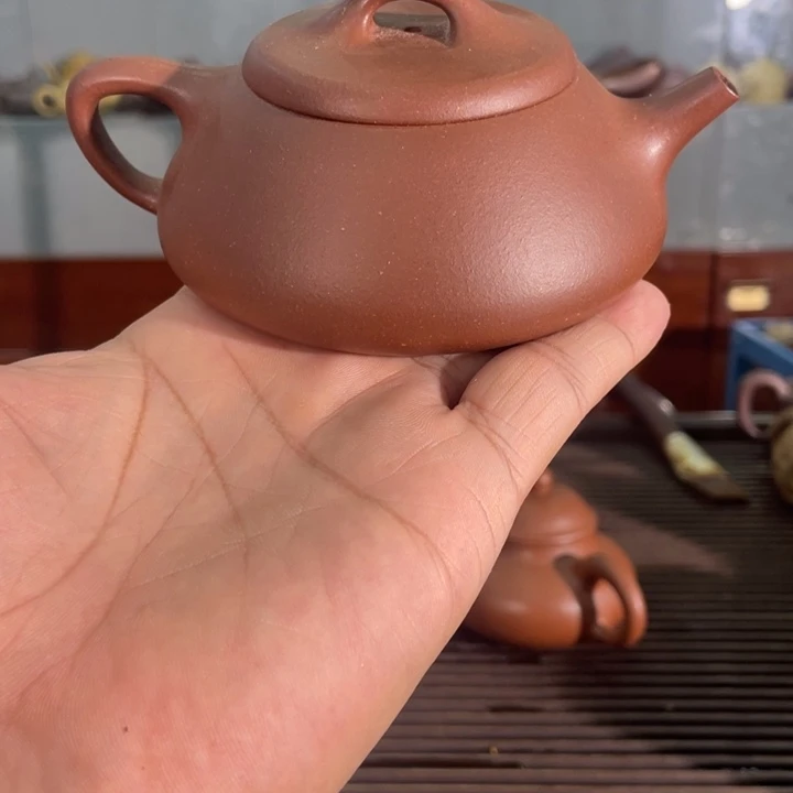 茶壶紫砂哈哈哈哈哈这个综艺节目真的是太