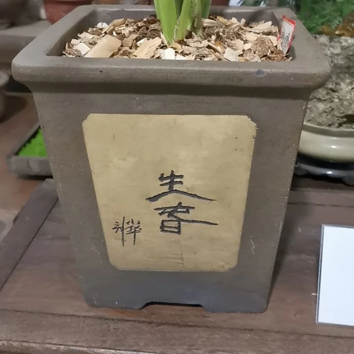 红陶一**古透气透水花盆