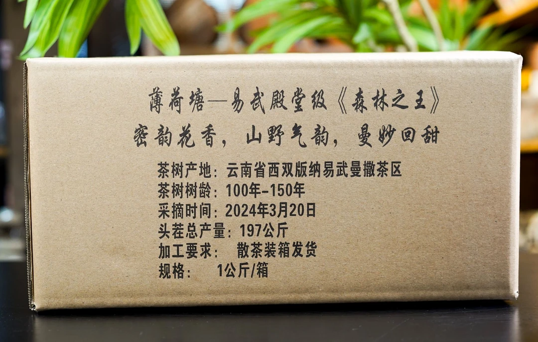 【珍藏】2024年春茶上市【薄荷塘-易武殿堂级】森林之王 山野气韵生茶