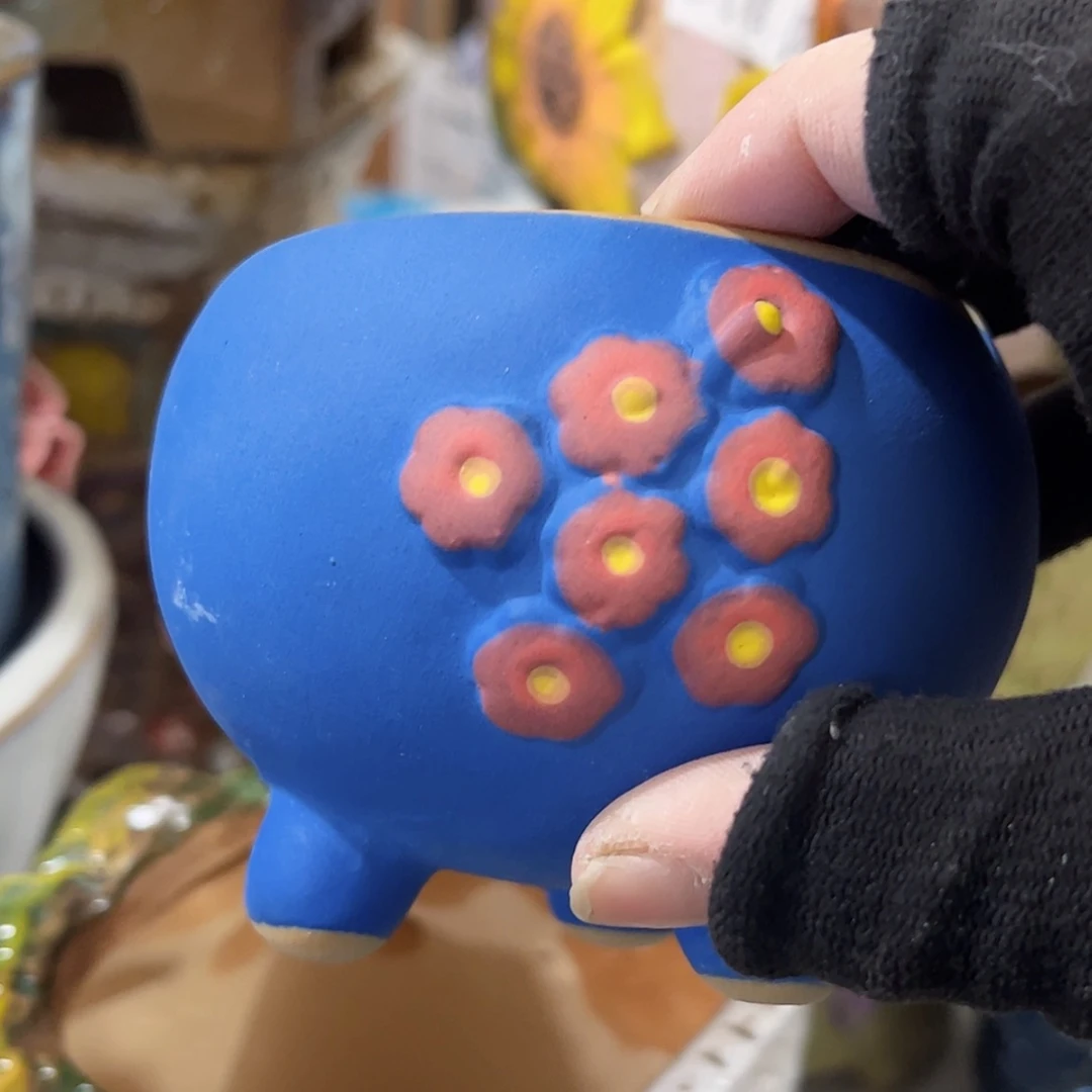 【闪购商品】红陶福利