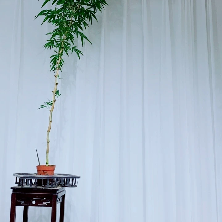 无花朵一****光1111111111111