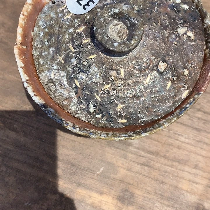 紫砂壶中含有一块天然冰膜杨*宝