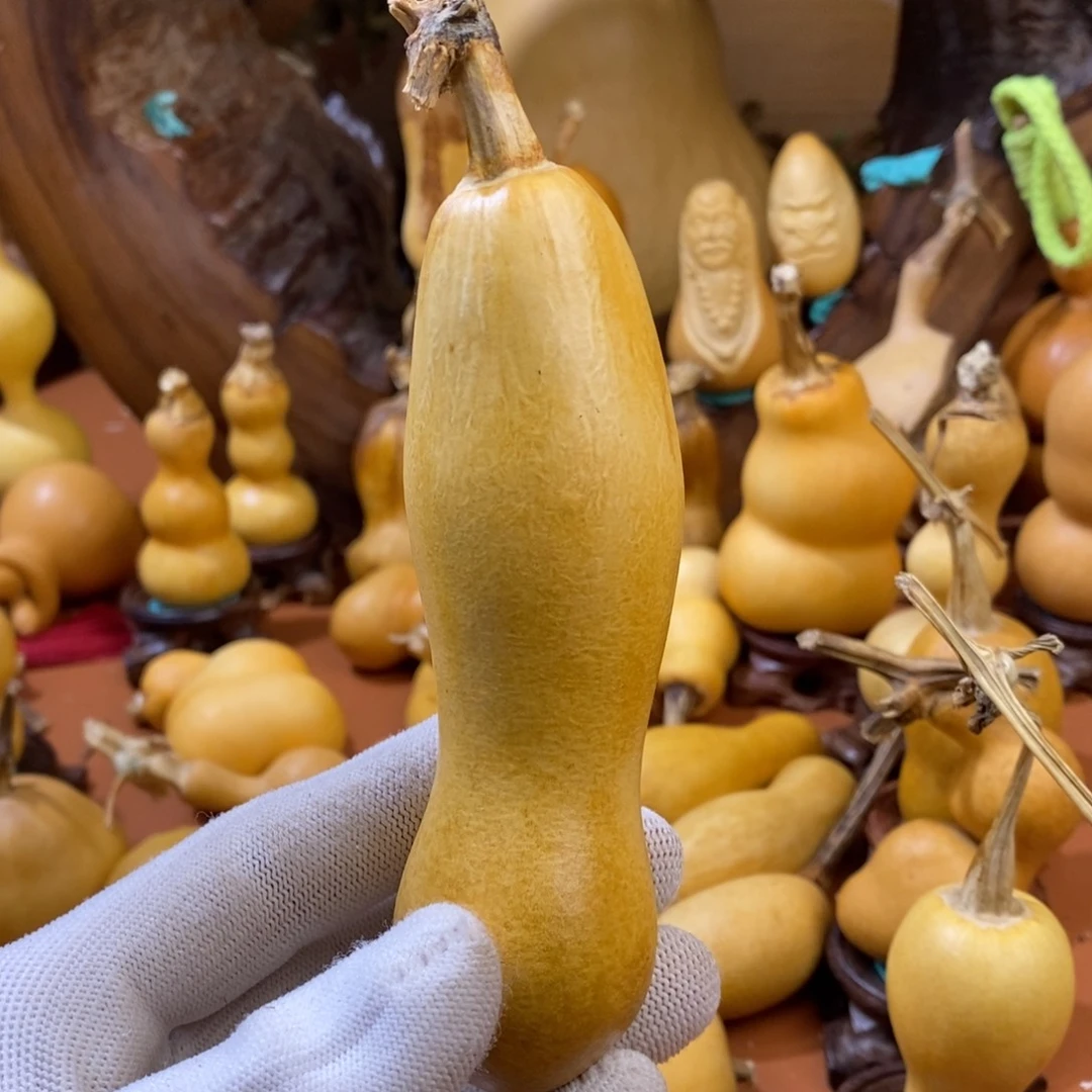 尼***丁咯咯哦哦哦哦哦哦哦咯