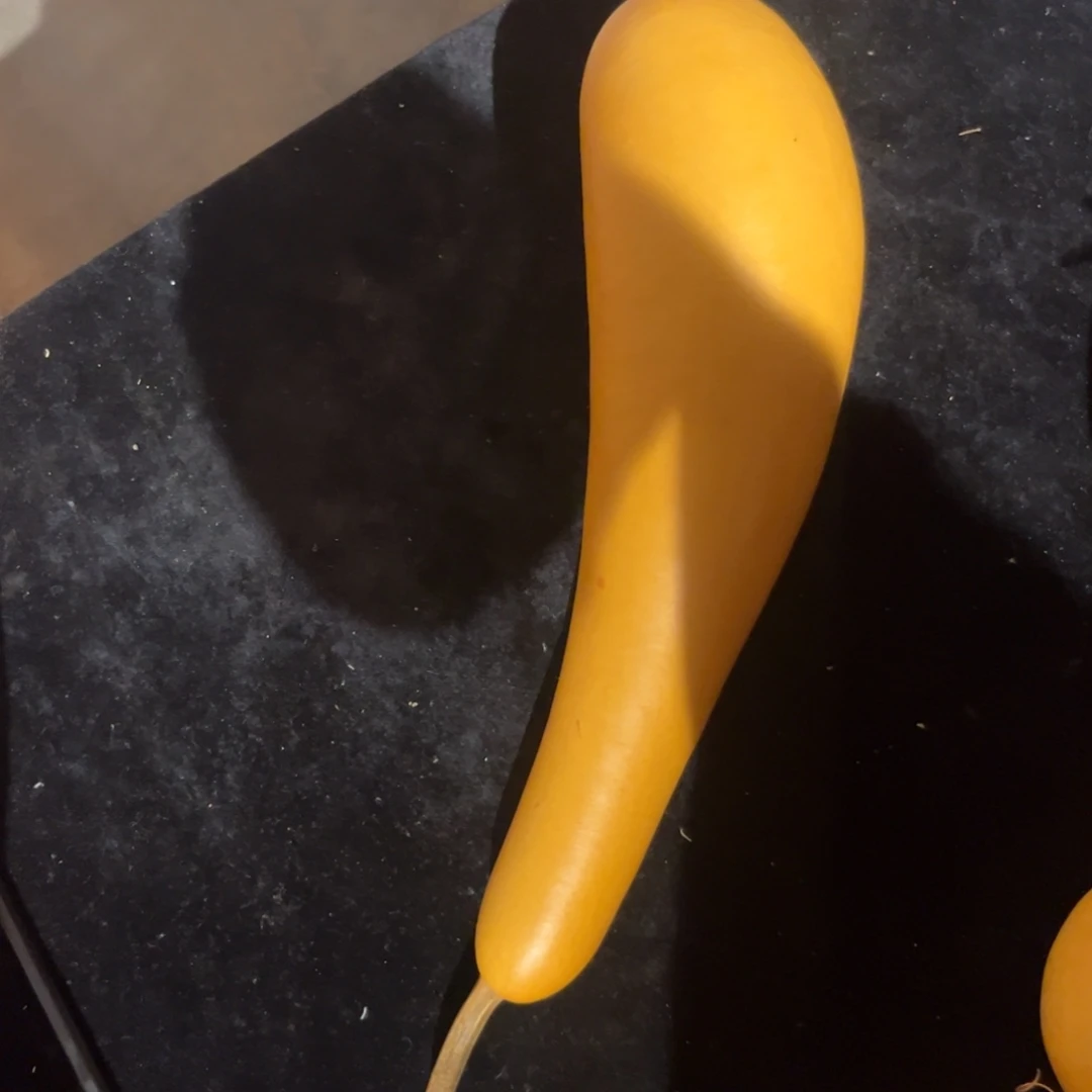 落***叶不知道是什么原因导致我