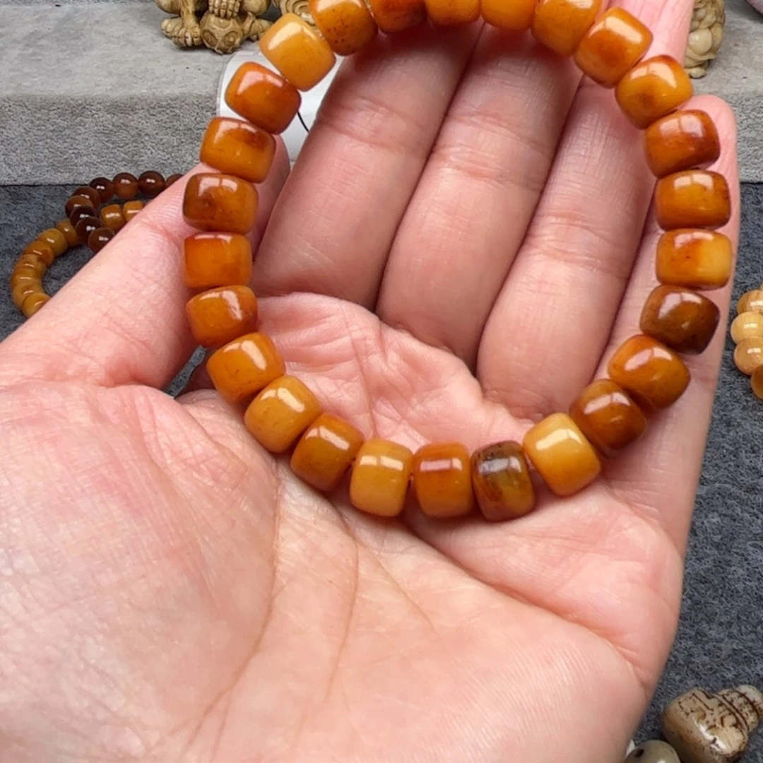 鹿骨其他人工养殖驼骨39