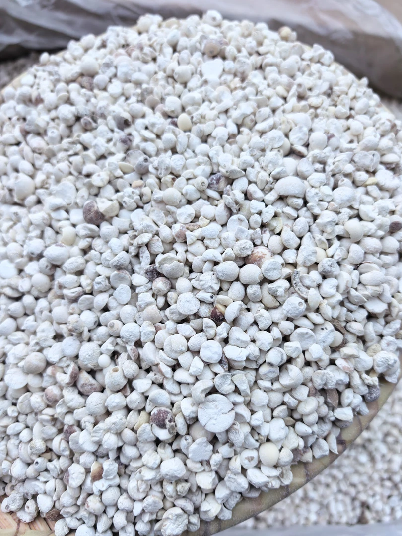 2025年新鲜苏芡片 煮稀饭  做豆浆 米糊